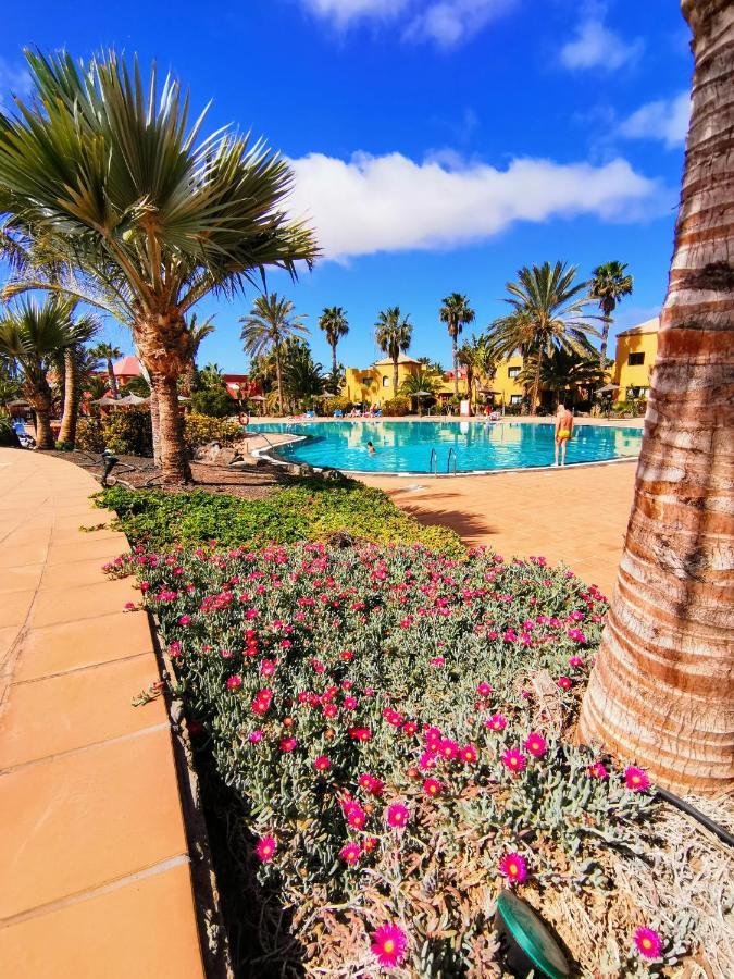 Appartamento Spagnolo Oasis Tamarindo Corralejo Kültér fotó