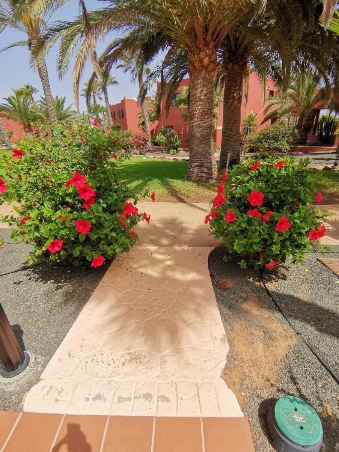 Appartamento Spagnolo Oasis Tamarindo Corralejo Kültér fotó