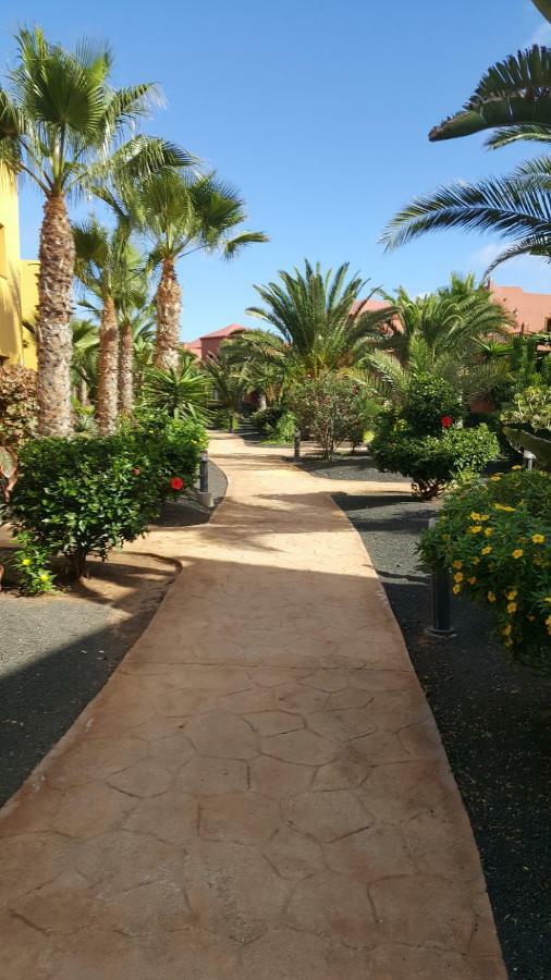 Appartamento Spagnolo Oasis Tamarindo Corralejo Kültér fotó