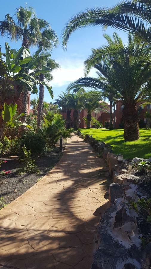 Appartamento Spagnolo Oasis Tamarindo Corralejo Kültér fotó