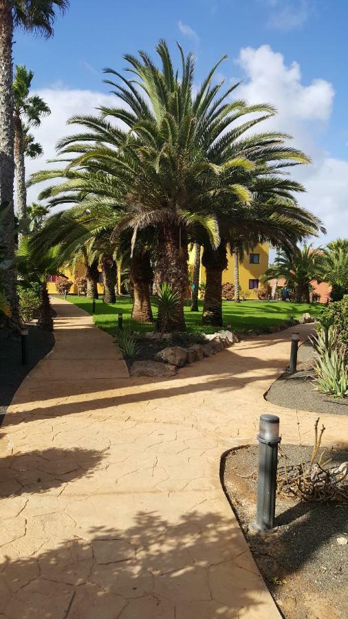 Appartamento Spagnolo Oasis Tamarindo Corralejo Kültér fotó