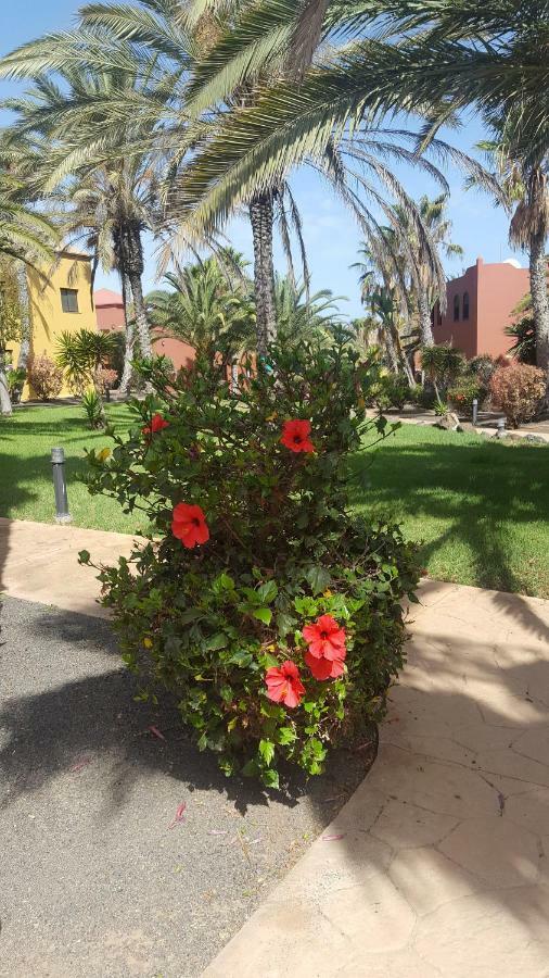 Appartamento Spagnolo Oasis Tamarindo Corralejo Kültér fotó